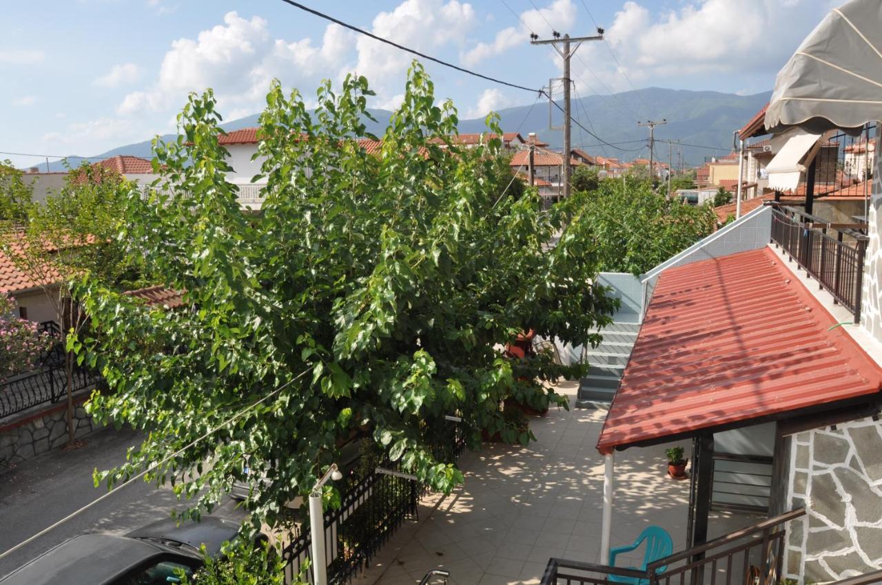 Villa Sofia Vrasná Exteriér fotografie